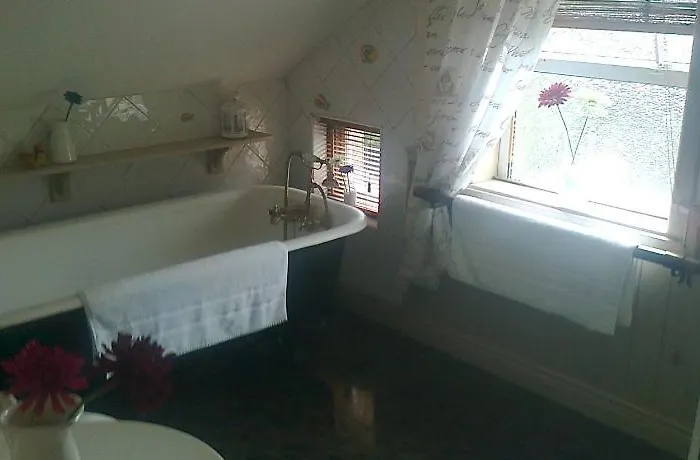 住宿加早餐酒店 Townhouse 3*